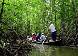 Cần Giờ "mơ" thành đô thị du lịch sinh thái rừng - biển