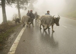 Chủ động ứng phó rét đậm, rét hại và gió mạnh trên biển