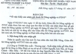 Giả chữ ký giám đốc Sở, âm mưu khai thác lậu gỗ rừng