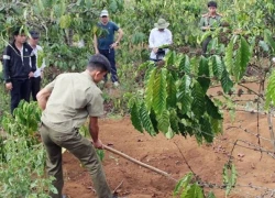 Lời khai nghi phạm giết chồng người tình rồi chôn xác phi tang