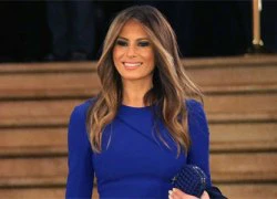 Melania Trump sẽ giữ lại vườn rau của Michelle Obama ở Nhà Trắng