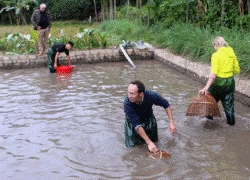 Nông dân Yên Đức háo hức làm du lịch