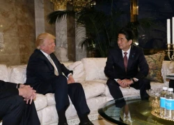 Thủ tướng Abe sắp gặp thượng đỉnh Tổng thống Trump