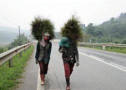 Trèo đèo, lội suối đưa học sinh trở lại trường