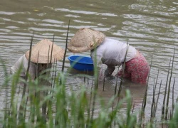 Vệ sinh đúng cách phòng ngừa viêm nhiễm phụ khoa