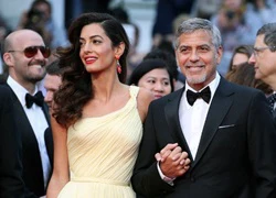 Vợ tài tử George Clooney mang bầu song thai