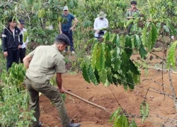 Vụ giết người, chôn xác: Thông tin vụ việc từ hàng xóm nạn nhân