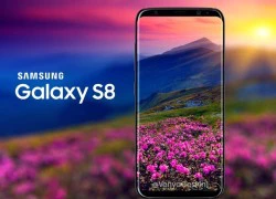 8 lý do người dùng iPhone phải ghen tị với Galaxy S8