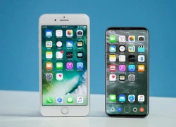 Ảnh dựng iPhone 8 so dáng với iPhone 7 Plus