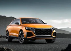 Audi Q8 Sport Concept - đối thủ BMW X6M ra mắt