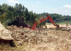 Băm nát đồi núi lấy đất trái phép ở Quảng Ngãi