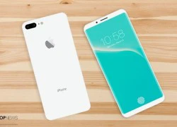 Bản dựng iPhone 8 màu Jet White đẹp không tì vết