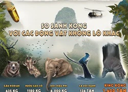 'Kong: Skull Island': Kong to lớn tới mức nào ở ngoài đời thật