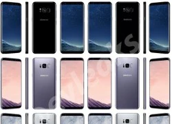 Cảm biến vân tay của Galaxy S8 được đặt cạnh camera sau