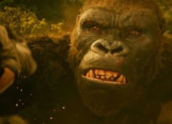 Chuyện khó quên khi theo chân "Kong: Skull Island" quay tại Việt Nam