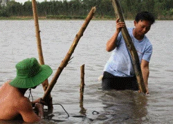 Đôi vợ chồng vừa dạy chữ, vừa trồng lúa lãi 1 tỷ đồng/năm