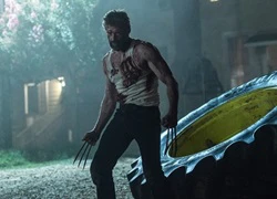 Fan siêu anh hùng muốn có thêm phim dán nhãn R như 'Logan'