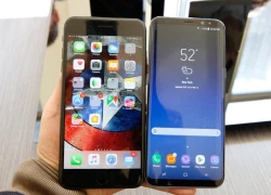 Galaxy S8 Plus so dáng cùng iPhone 7 Plus