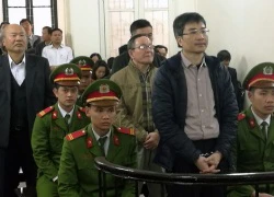 Gia đình Giang Kim Đạt kháng cáo