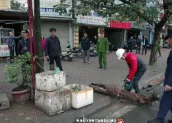 Hà Nội ra quân dẹp vỉa hè quy mô lớn