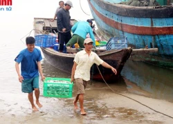 Hà Tĩnh: Bỏ lại sự cố Formosa, những con tàu lại vươn khơi xa