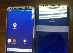 Hình ảnh Galaxy S8 và S8+ đang hoạt động rò rỉ gần ngày ra mắt