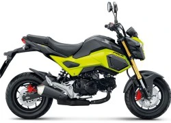 Honda MSX 125SF 2017 thêm màu sơn và chống bó cứng ABS