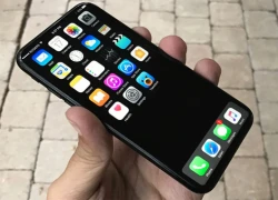 iPhone 8 chưa chắc dùng màn hình OLED, có thể phát hành muộn