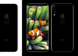 iPhone Edition sẽ có camera kép dọc, touch ID mặt sau