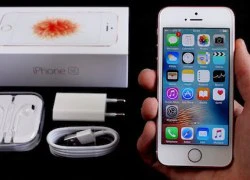 iPhone SE bản mới có thể trình làng tháng này