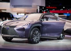 Lexus UX sắp thành hiện thực, dựa trên Toyota C-HR