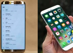 Linh kiện đắt đỏ, giá iPhone 8, Galaxy S8 có thể lên 1.000 USD