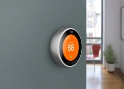 Nest bổ sung chức năng xác thực hai yếu tố để bảo vệ dữ liệu