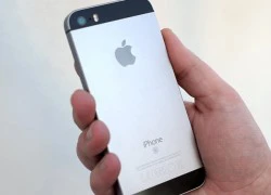 Nhà bán lẻ trả lại hàng tồn, iPhone SE sắp ra bản nâng cấp?