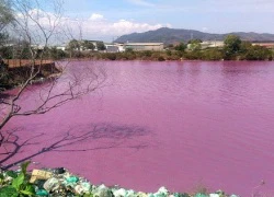 Nước hồ điều tiết lũ ở Bà Rịa - Vũng Tàu đổi màu tím