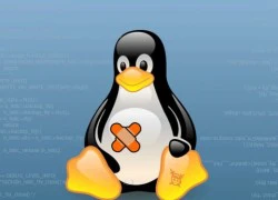 Phát hiện lỗ hổng trong nhân Linux tồn tại hơn 7 năm