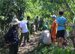 Phát hiện thi thể nam thanh niên dính đầy máu trong vườn cà phê