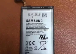 Pin trên Galaxy S8 Plus có thể được hoàn thiện tại Việt Nam