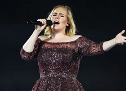 Quá khó chịu, Adele dừng show giữa chừng để mắng nhân viên an ninh