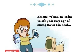 Sự giống nhau bất ngờ giữa PC chơi game và... chó