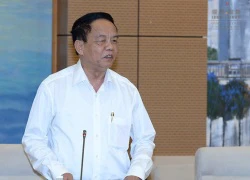 "Tam sơn tứ hải mà đại gia rừng, biển ít, đại ca lại rất nhiều"