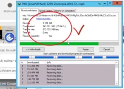 Tranh cãi quanh tốc độ download 300MB/s của anh chàng người Việt, không thể tin nổi