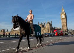 "Trump" và "Putin" cởi trần cưỡi ngựa làm náo động London