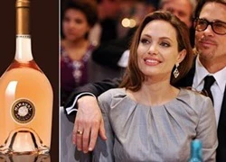 Vợ chồng Brad Pitt - Angelina Jolie khẳng định không bán thương hiệu rượu vang của họ