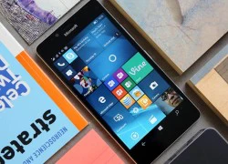 Windows Phone đang ở đâu?