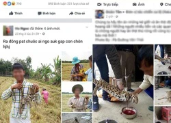 Xẻ thịt mèo hoang "khoe" trên facebook: "Hành động vô nhân tính"