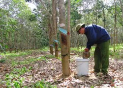 29.000 tỷ đồng cho Tây Nguyên "cất cánh"