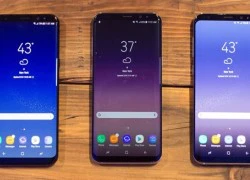 Apple và Google bắt chước smartphone Samsung