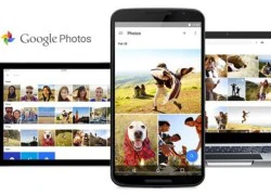 Bản cập nhật Google Photos cho iOS hỗ trợ tính năng AirPlay