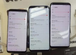 Cách kiểm tra lỗi đỏ màn hình trên Galaxy S8/S8+